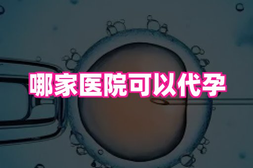 杭州助孕网 1