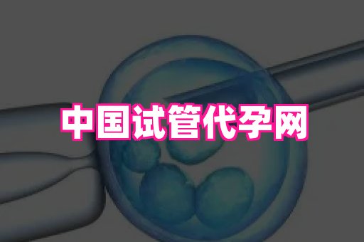 杭州助孕网 3