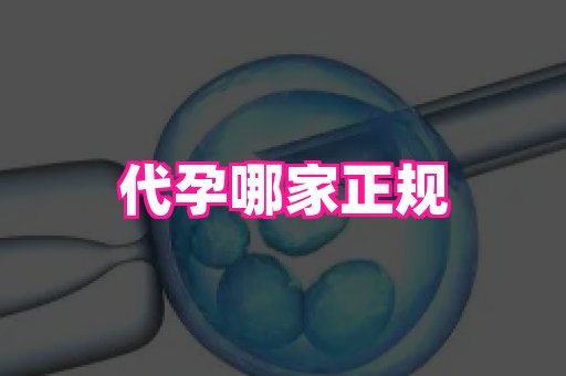 杭州助孕网 3