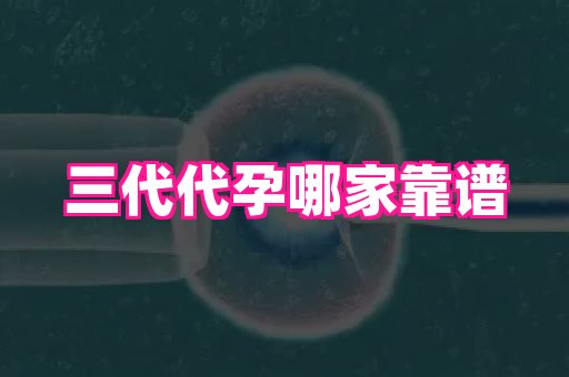 杭州助孕网 4
