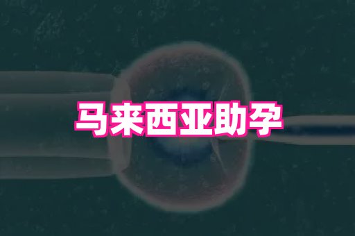 杭州助孕网 4